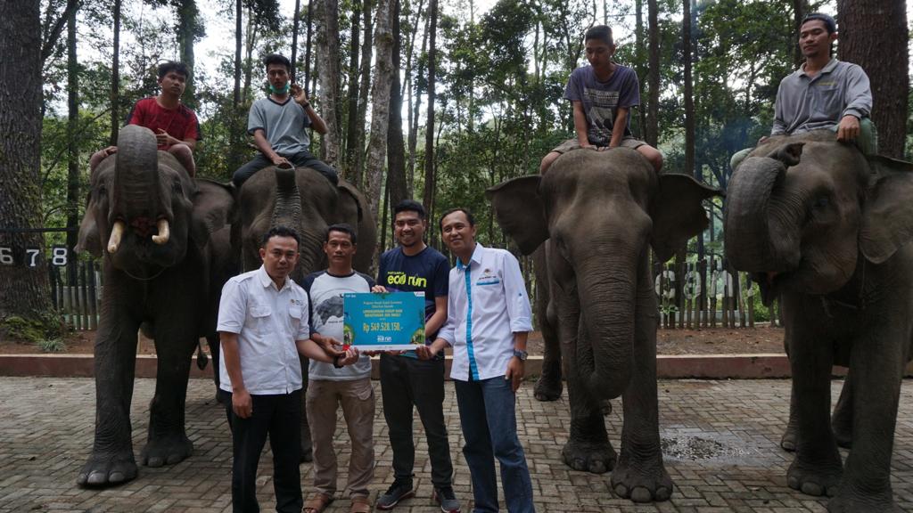 Semua Sayang Gajah Sumatera - PT Pertamina (Persero)